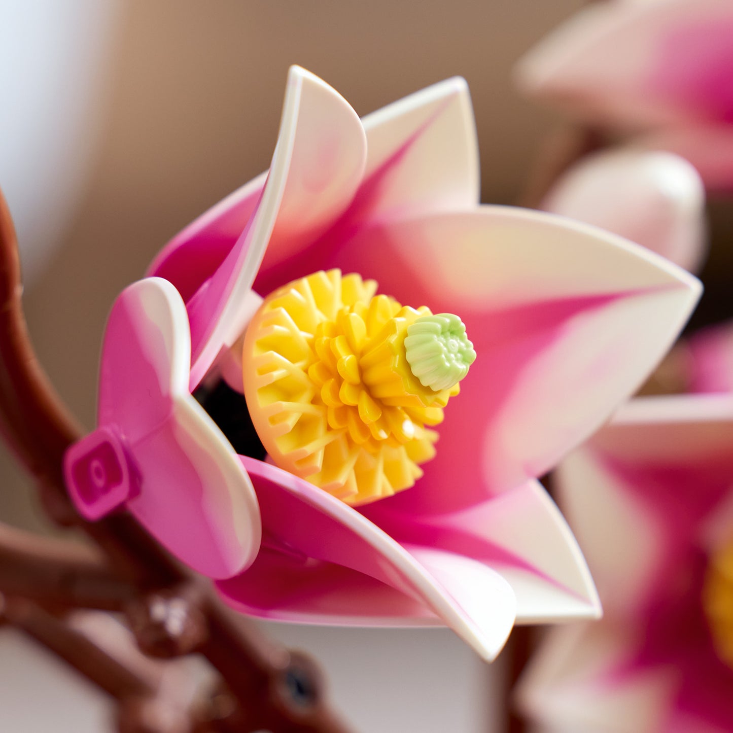 LEGO Botanicals Magnoliatakken – Bouwpakket voor Volwassenen met Nepbloemen – 5 Magnolia’s  Kunstbloemen – Slaapkamer- of Woonkamerdecoratie – DIY Cadeau voor Vrouwen – 11510