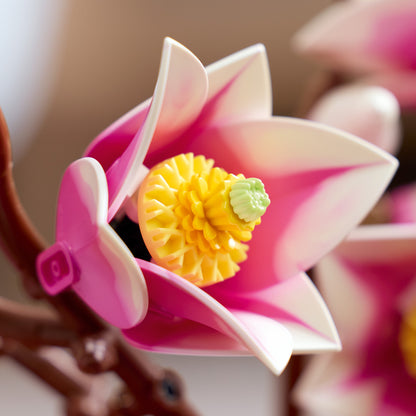 LEGO Botanicals Magnoliatakken – Bouwpakket voor Volwassenen met Nepbloemen – 5 Magnolia’s  Kunstbloemen – Slaapkamer- of Woonkamerdecoratie – DIY Cadeau voor Vrouwen – 11510