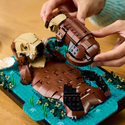 LEGO Ideas Drijvende Zeeotters – Bouwpakket voor Volwassenen – 3D Displaymodel met Dieren Figuren van Otter en haar Jong – DIY Woondecoratie en Bureau-Decoratie – Creatief Cadeau-idee – 21366