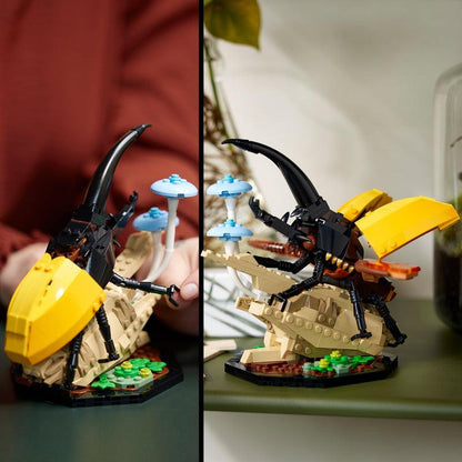 LEGO De insectencollectie 21342 Ideas LEGO IDEAS @ 2TTOYS LEGO €. 84.99