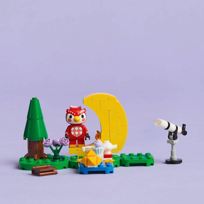 LEGO Stargazing with Celeste 77053 Animal Crossing