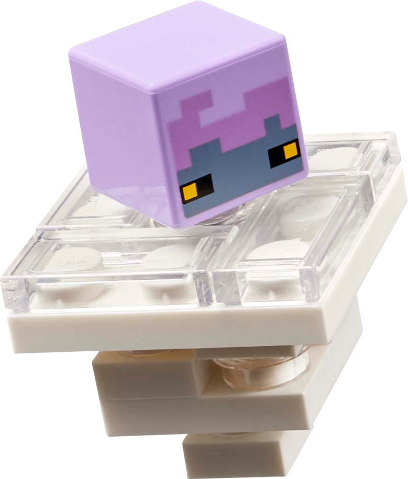 LEGO Die Gerichtskammer 20271 Minecraft