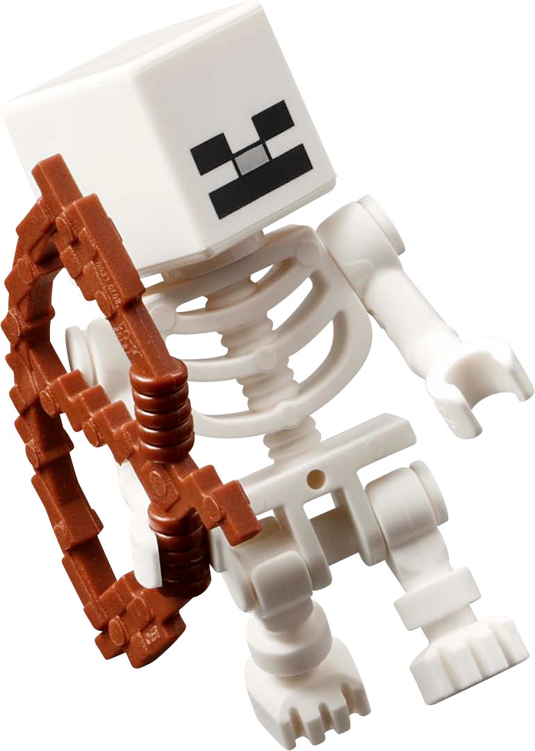 LEGO Die Gerichtskammer 20271 Minecraft