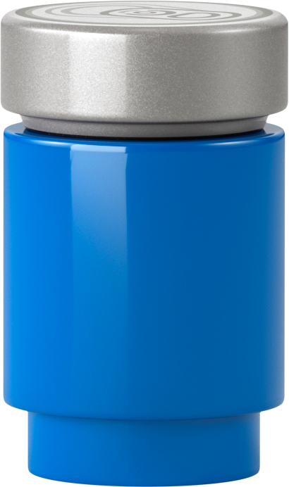 LEGO Bluey's autorit 11202 DUPLO Bluey