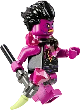LEGO Der Mitternachtsrabe der niederen Hexe 71478 Dreamzzz