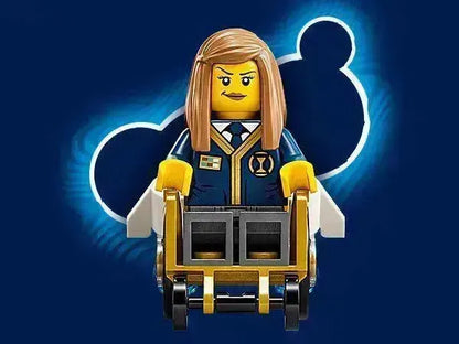 LEGO Der Mitternachtsrabe der niederen Hexe 71478 Dreamzzz