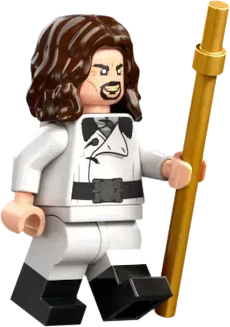 LEGO Toverschool Toernooi: de aankomst 76440 Harry Potter