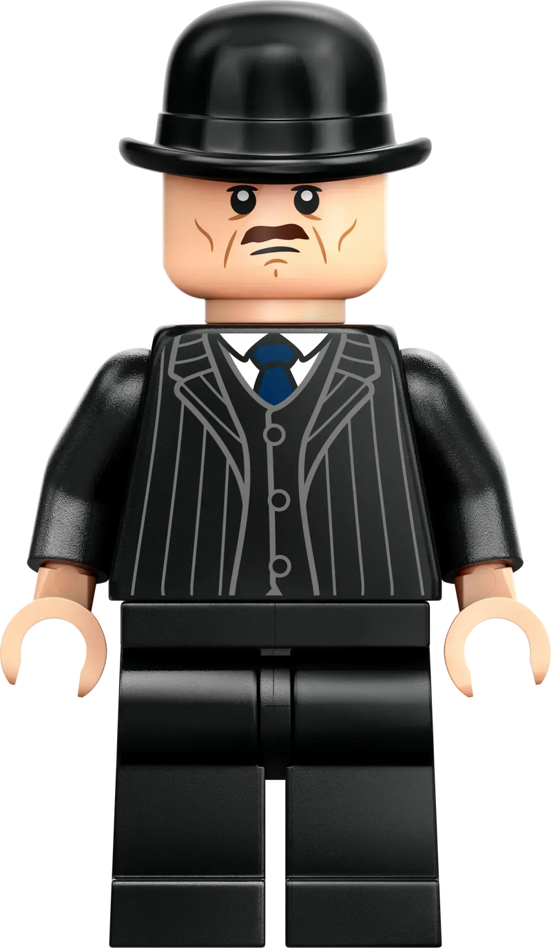 LEGO Toverschool Toernooi: de aankomst 76440 Harry Potter