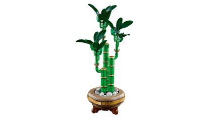 LEGO Geluksbamboe 10344 Botanische Collectie (Levering: Januari 2025) @ 2TTOYS | Official LEGO shop😊🥰 2TTOYS €. 24.99