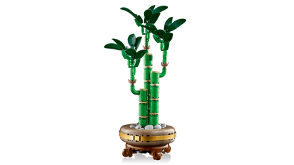 LEGO Geluksbamboe 10344 Botanische Collectie (Levering: Januari 2025) @ 2TTOYS | Official LEGO shop😊🥰 2TTOYS €. 24.99