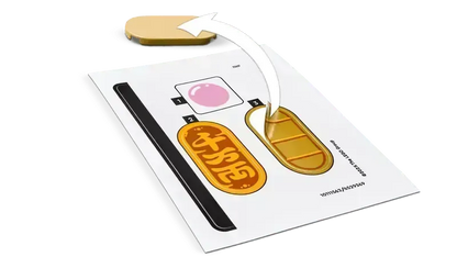 LEGO Gelukskatje 40813 Creator (Verwacht: januari 2025)