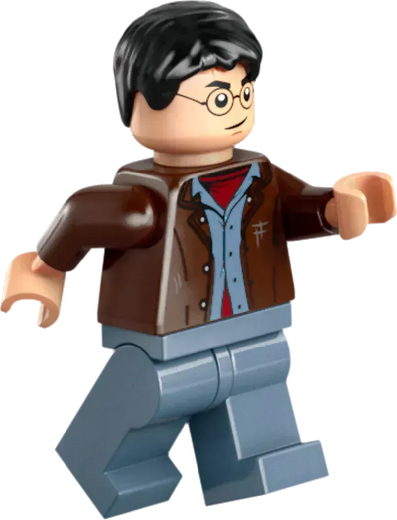 LEGO Het landhuis van Malfidus 76453 Harry Potter