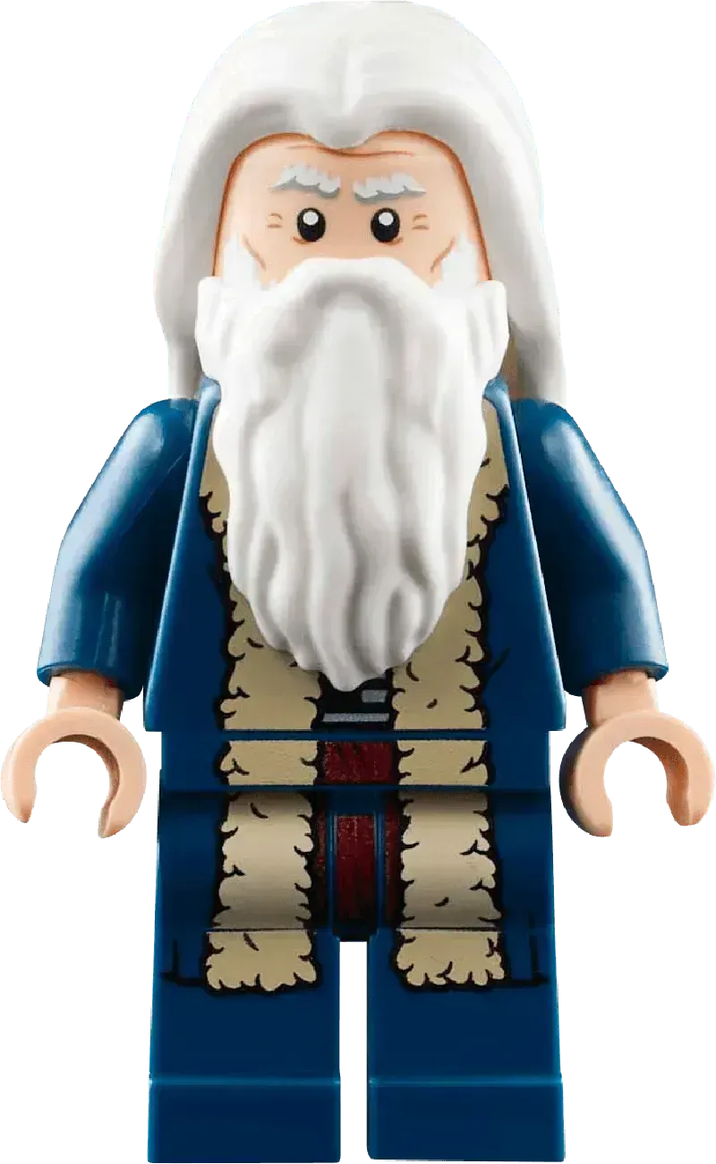 LEGO Leonardo da Vinci's Vliegmachine 10363 Icons