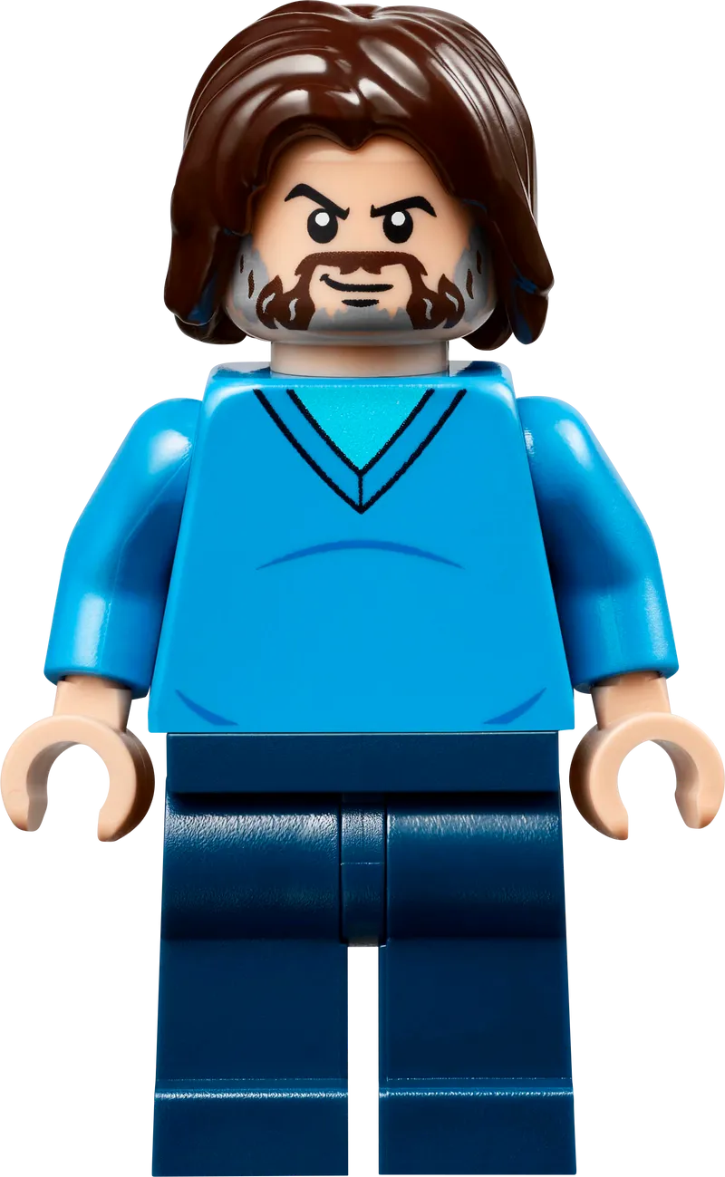 LEGO De arena bij het boslandhuis 21272 Minecraft