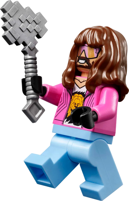 LEGO De arena bij het boslandhuis 21272 Minecraft