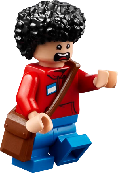 LEGO De arena bij het boslandhuis 21272 Minecraft