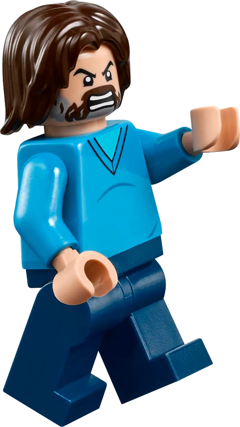 LEGO De arena bij het boslandhuis 21272 Minecraft