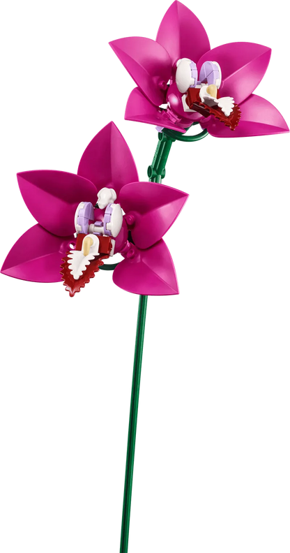 LEGO Pink Bouquet 10342 Botanical (Delivery: January 2025)