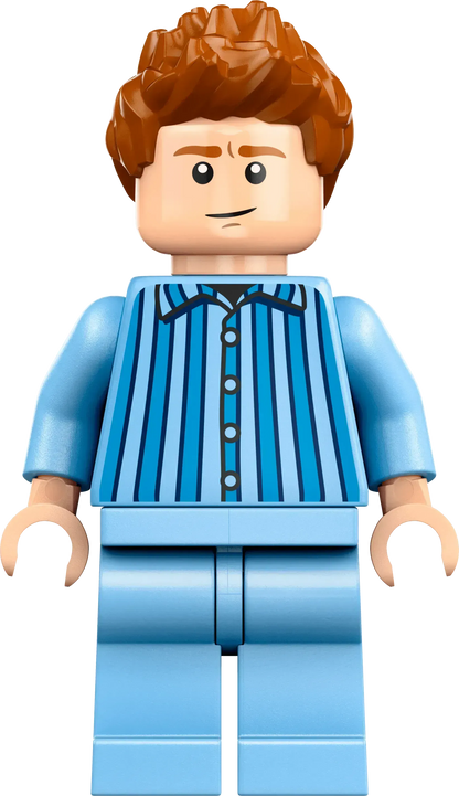 LEGO The Burrow - Collectors' Edition 76437 Harry Potter