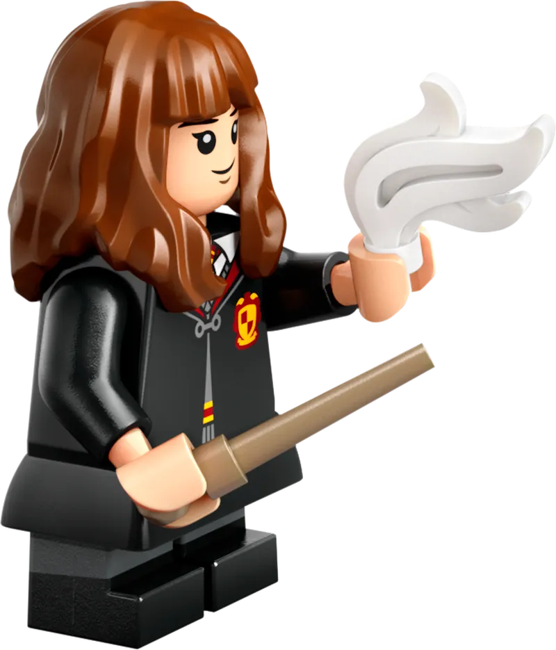 LEGO Hogwarts Castle Spellcasting Lesson 76442 Harry Potter (Pre-Order: January 2025)