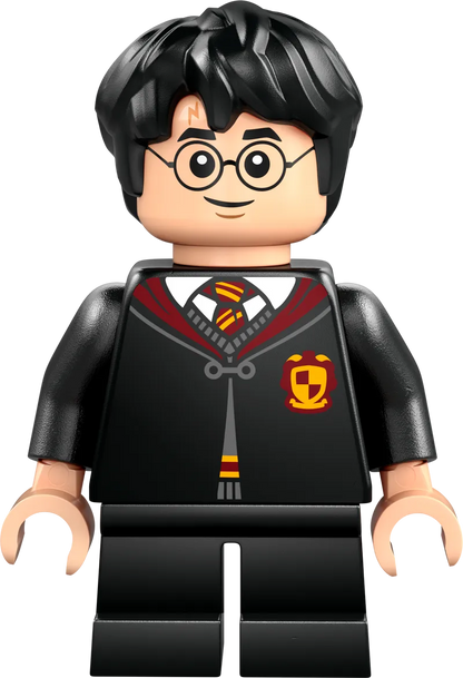 LEGO Vliegles bij Kasteel Zweinstein 76447 Harry Potter