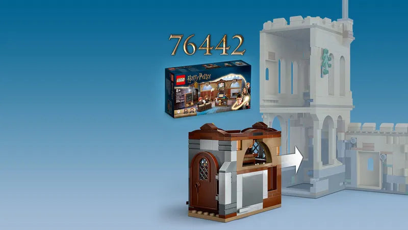 LEGO Vliegles bij Kasteel Zweinstein 76447 Harry Potter