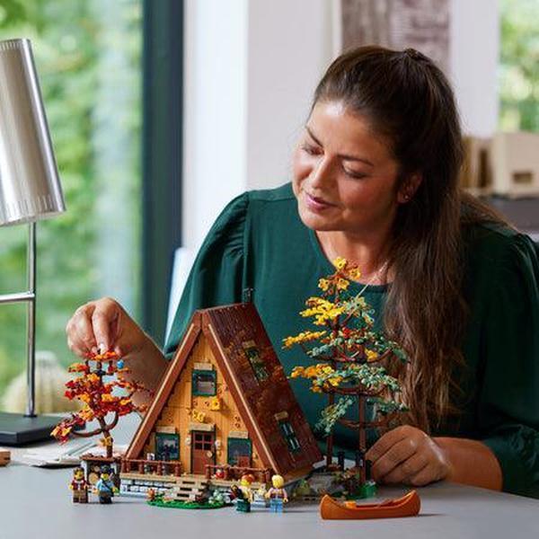 LEGO A-Frame Cabin 21338 Ideas LEGO IDEAS @ 2TTOYS | Official LEGO shop😊🥰 LEGO €. 184.99