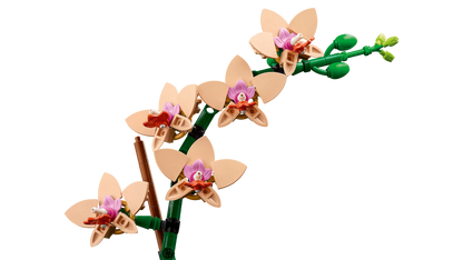 LEGO Mini Orchidee 10343 Botanische Collectie @ 2TTOYS | Official LEGO shop😊🥰 2TTOYS €. 24.99