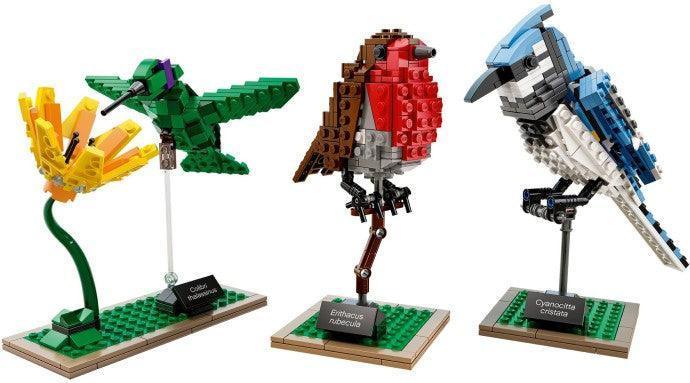 LEGO Birds 21301 Ideas LEGO IDEAS @ 2TTOYS | Official LEGO shop😊🥰 LEGO €. 44.99