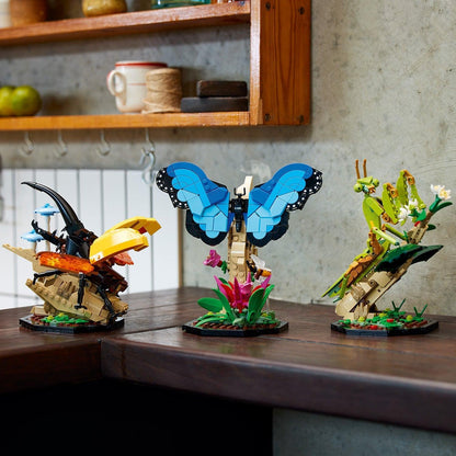 LEGO Insect collection 21342 Ideas LEGO IDEAS @ 2TTOYS | Official LEGO shop😊🥰 LEGO €. 84.99